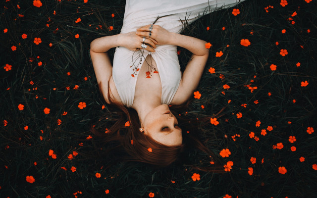 Woman flower field blood dress free wallpaper - medium preview image