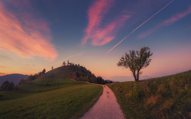 Sunset path hill tree magical free wallpaper - medium preview image