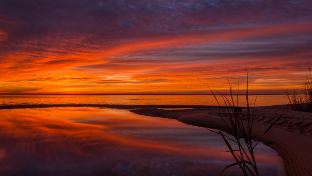 Sunset water beach reeds horizon free wallpaper - medium preview image