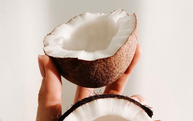 Coconut hands white background gradient free wallpaper - medium preview image