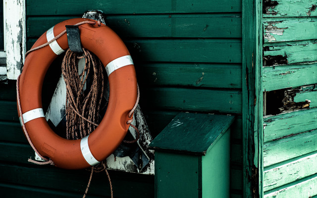 Life preserver green wall ocean free wallpaper - medium preview image