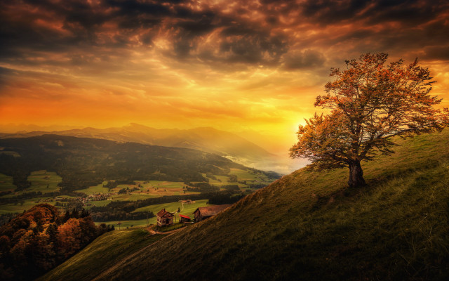 Tree hill sunset cloudy sky free wallpaper - medium preview image