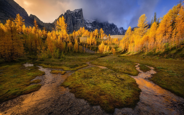 Lush forest stream mountain sunset free wallpaper - medium preview image