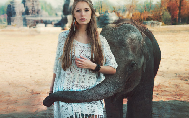 Woman elephant dirtfield trees building free wallpaper - medium preview image