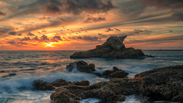 Sunset ocean birds rocks waves free wallpaper - medium preview image