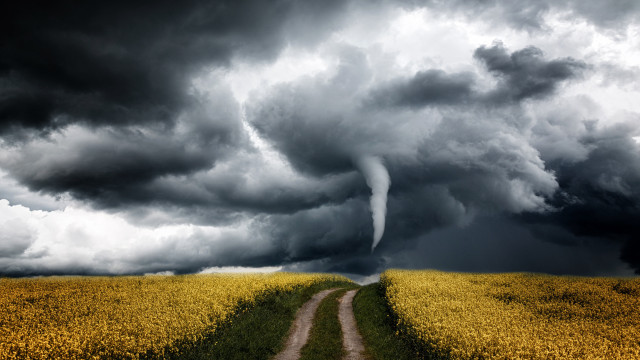 Stormy field dirt road cityscape free wallpaper - medium preview image