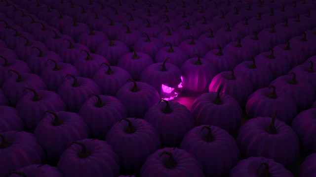 Purple pumpkins purple light field free wallpaper - medium preview image