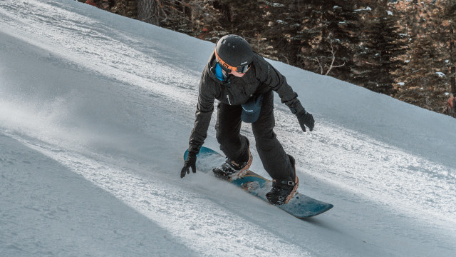 Snowboarder slope trees beach ocean free wallpaper - medium preview image
