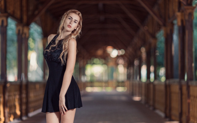 Woman black dress posing wooden free wallpaper - medium preview image