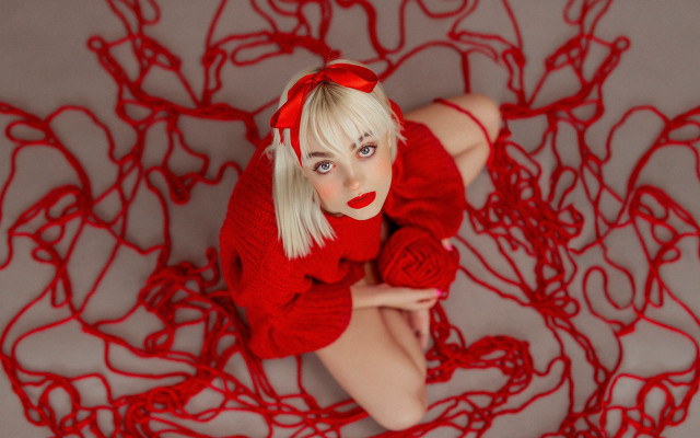 Red sweater red rose spider free wallpaper - medium preview image