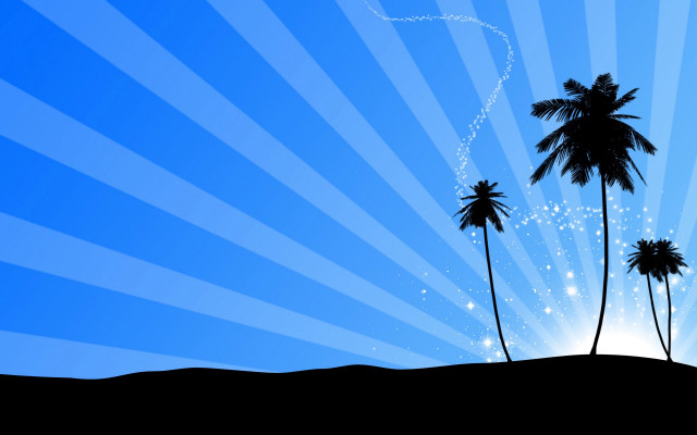 Palm tree star trail sunburst free wallpaper - medium preview image