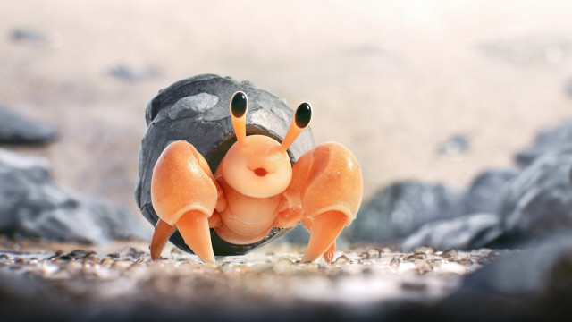 Toy crab rock surreal macro free wallpaper - medium preview image