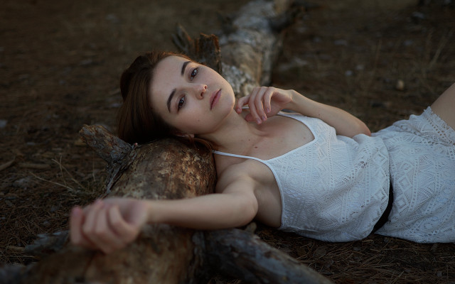 Woman lying on log woods free wallpaper - medium preview image