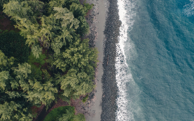 Beach trees water people night free wallpaper - medium preview image