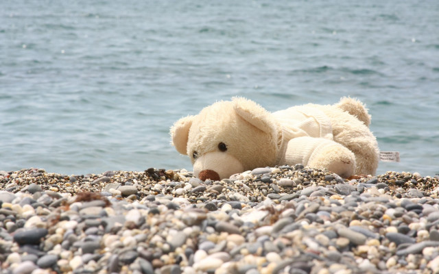 Teddy bear rocky beach ocean free wallpaper - medium preview image