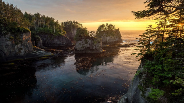 Sunset water trees cliff birds free wallpaper - medium preview image