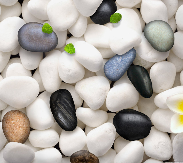 Rocks flowers pattern white surface free wallpaper - medium preview image