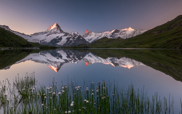 Mountain range reflection sunset wildflowers free wallpaper - medium preview image