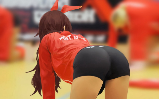 Volleyball gym woman redshirt blackshorts free wallpaper - medium preview image