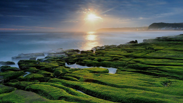 Sunset lake mountain forest shore free wallpaper - medium preview image
