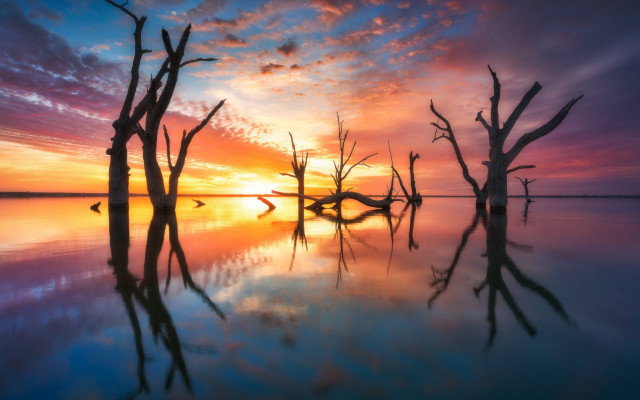 Sunset trees reflection clouds magic free wallpaper - medium preview image