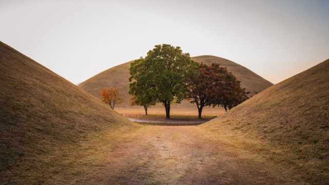 Dirt road trees hills path free wallpaper - medium preview image
