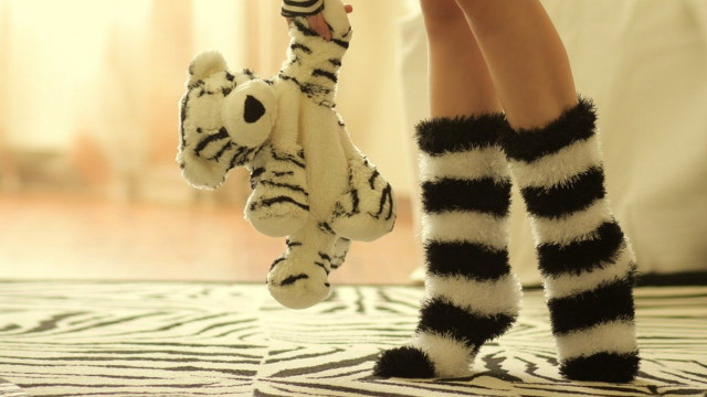 Zebra socks stuffed animal zebra free wallpaper - medium preview image