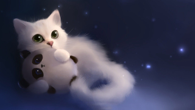 White cat stuffed animal blue #2 free wallpaper - medium preview image