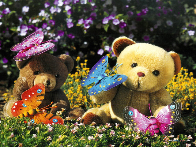 Teddy bears field flowers butterflies #2 free wallpaper - medium preview image