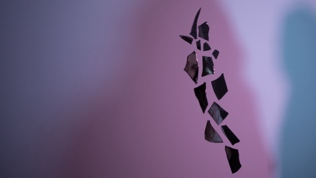 Broken glass window bird reflection free wallpaper - medium preview image