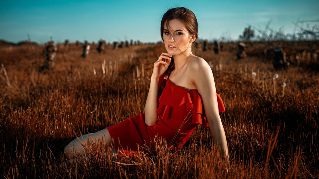Woman red dress field brown free wallpaper - medium preview image
