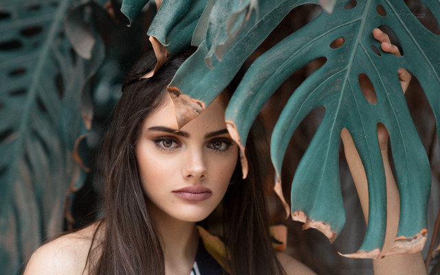 Woman leaf head green plant free wallpaper - medium preview image