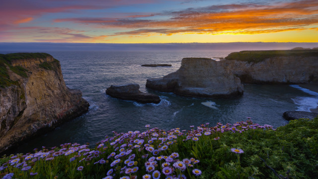 Sunset ocean flowers rocks colorful free wallpaper - medium preview image