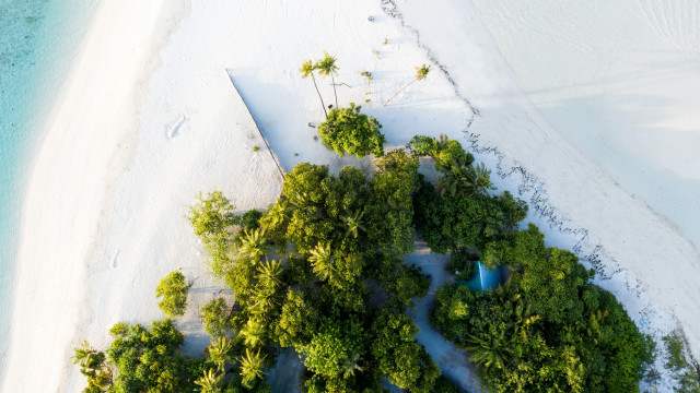Beach tree path blue water free wallpaper - medium preview image