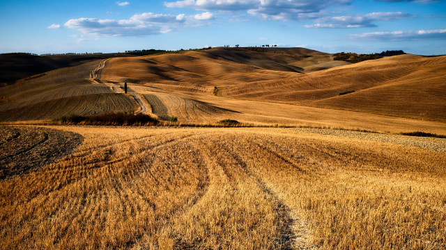 Field dirt road hill trees free wallpaper - medium preview image
