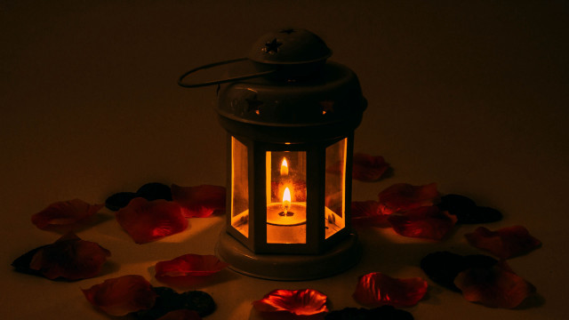 Lit candle petals table lantern free wallpaper - medium preview image