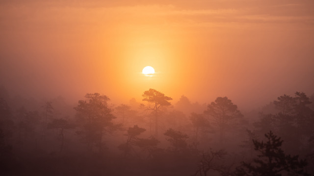 Sunset forest mountains moon hazy free wallpaper - medium preview image