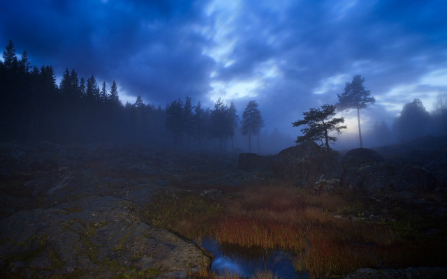 Foggy forest pond mountain cloudy free wallpaper - medium preview image