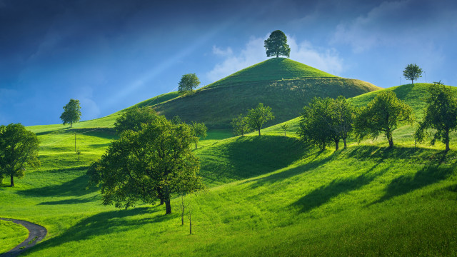 Green hill winding road trees free wallpaper - medium preview image