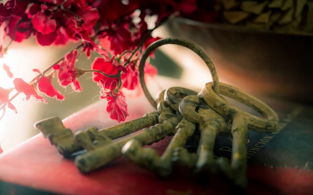 Keys vase flower book shallow free wallpaper - medium preview image