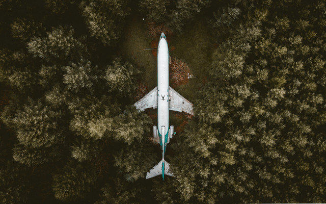 White airplane flying over forest free wallpaper - medium preview image