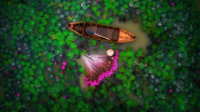 Boat green field flower forest free wallpaper - medium preview image