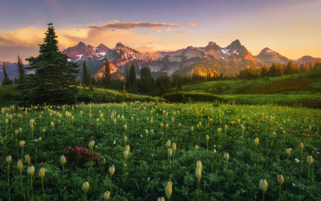 Flower field mountains sunset clouds #3 free wallpaper - medium preview image