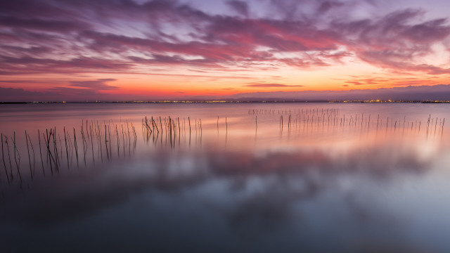 Lake reeds sunset clouds mystical free wallpaper - medium preview image