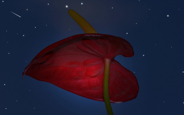 Red flower shooting star night free wallpaper - medium preview image
