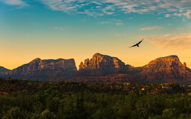 Bird mountain sunset landscape forest free wallpaper - medium preview image