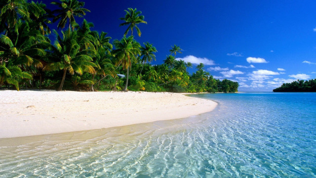 Beach palm trees clear water #2 free wallpaper - medium preview image
