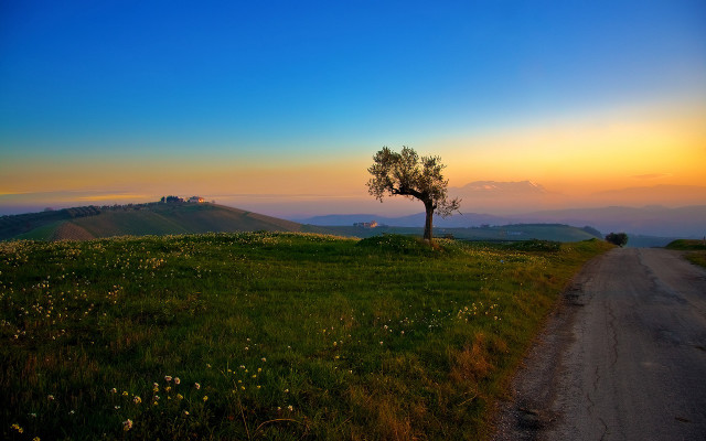 Lone tree hill sunset road free wallpaper - medium preview image