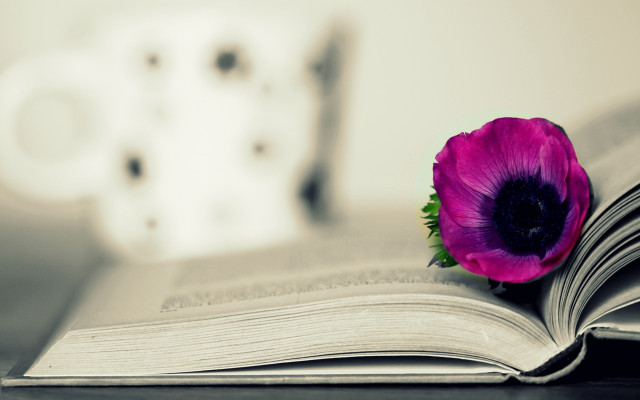 Book flower coffee vase stilllife free wallpaper - medium preview image