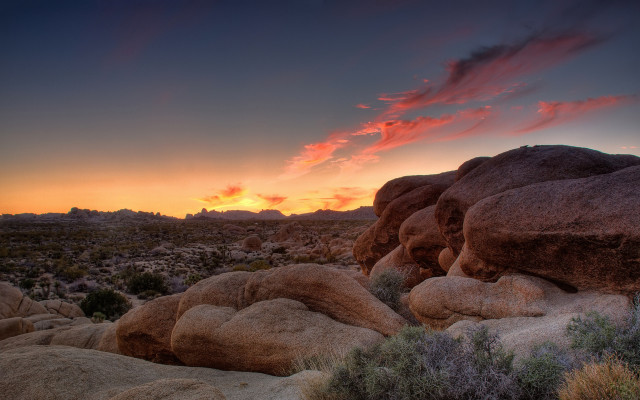 Sunset desert rocks plants pink free wallpaper - medium preview image